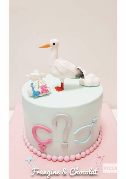 Gender cake pour baby shower sur Miramas